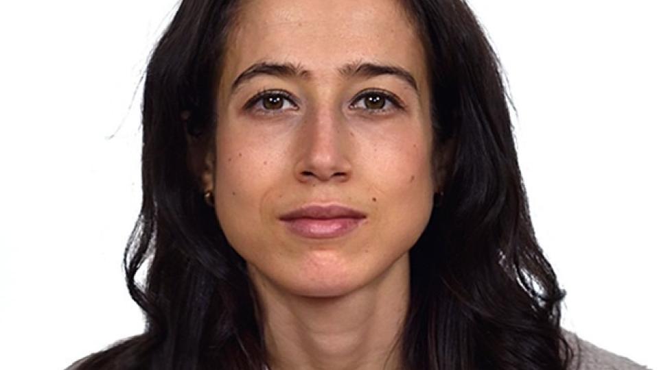 Helena García Escudero, Premio SEA Tesis en la modalidad Astronomía y Astrofísica 2026