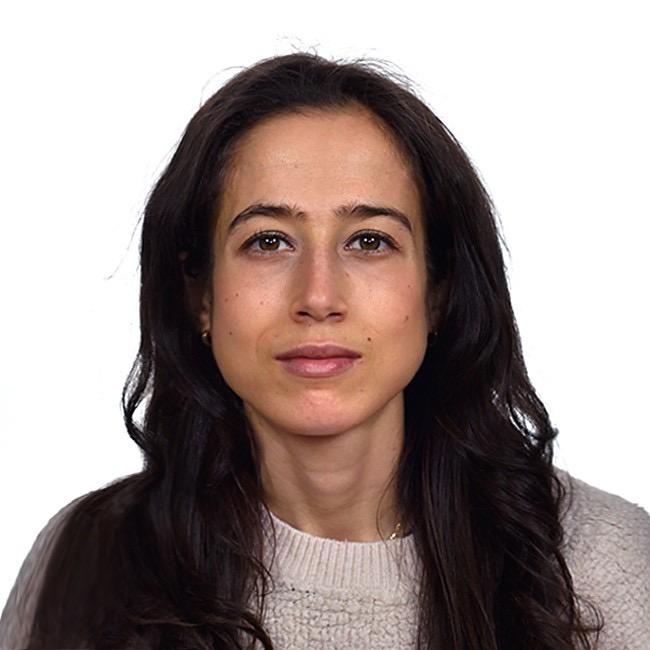 Helena García Escudero, Premio SEA Tesis en la modalidad Astronomía y Astrofísica 2026